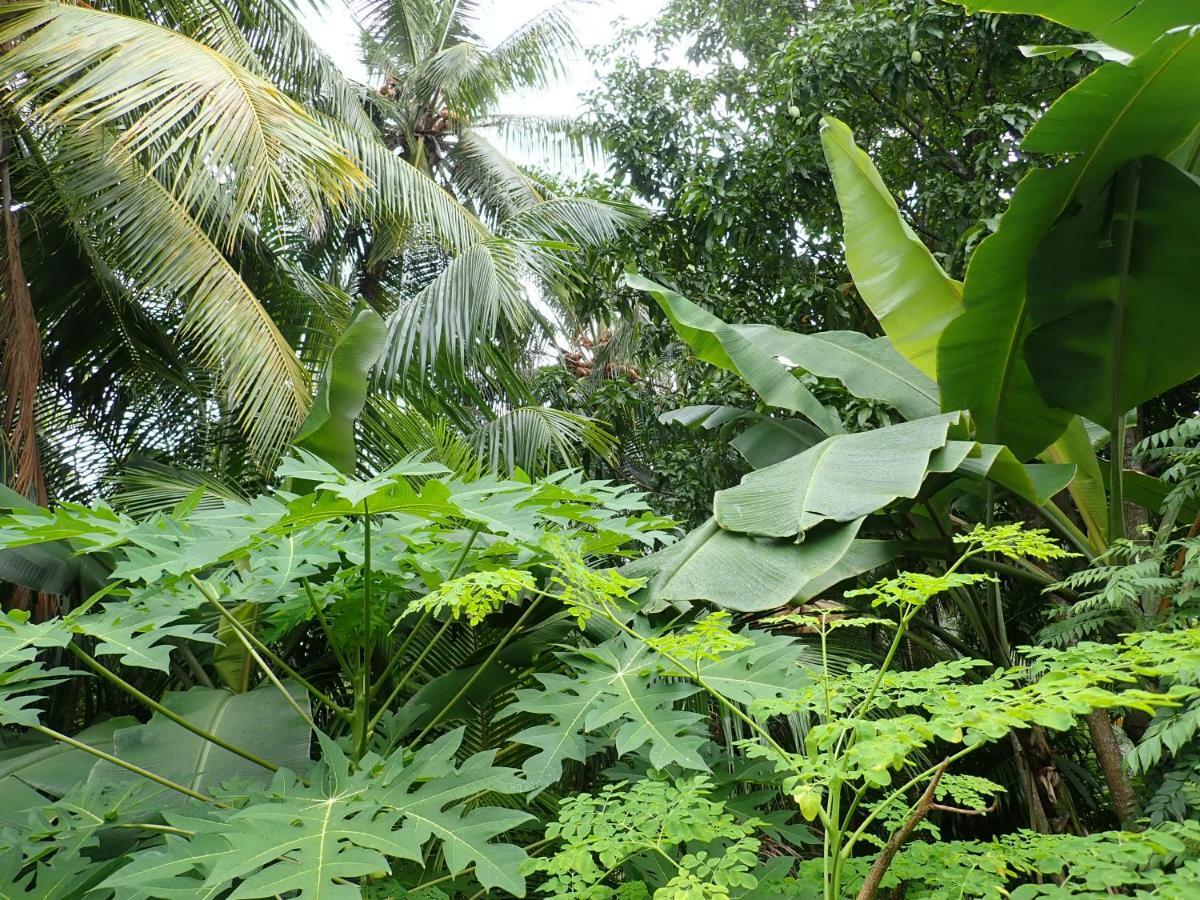 Fuvahmulah Inn المظهر الخارجي الصورة