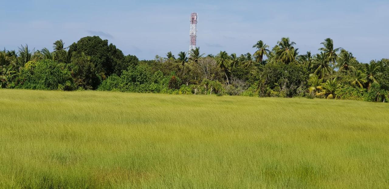 Fuvahmulah Inn المظهر الخارجي الصورة